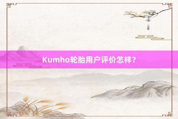 Kumho轮胎用户评价怎样？
